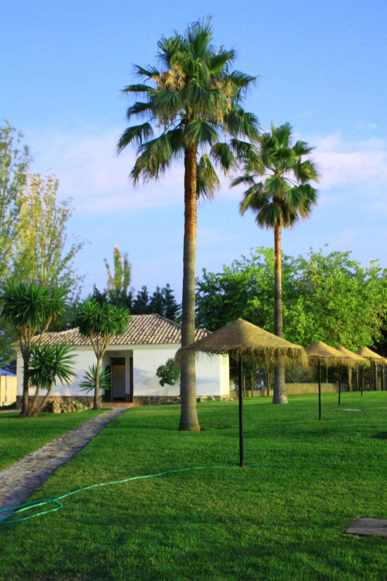 Camping Sierra De Las Nieves Yunquera Dış mekan fotoğraf